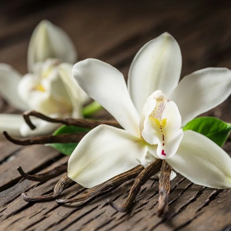 Vanilla pods