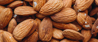 Hazelnut Praline