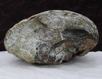 Ambergris