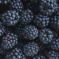 Blackberry