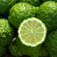 Calabrian Bergamot