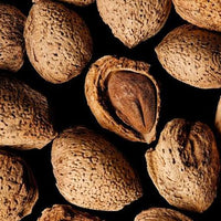 Nutmeg