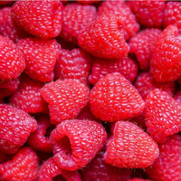 Raspberry