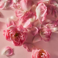 Turkish Rose