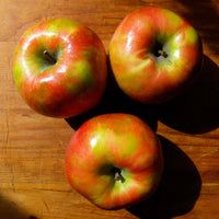 Crisp Apple