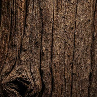 Dry Wood