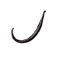 Madagascar Vanilla