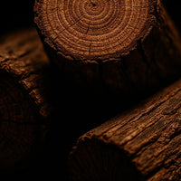 Warm Woods